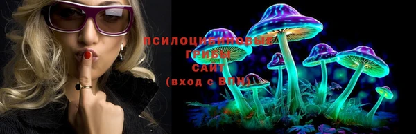 трава Касимов