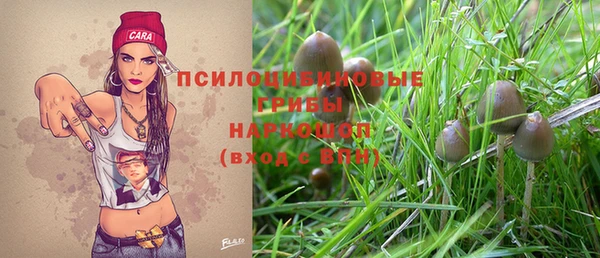 мет Карпинск